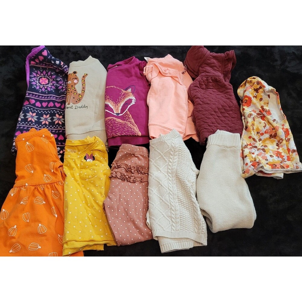 Baby Girl Toddler Size 12 Month Clothing Lot Fall Winter Bundle